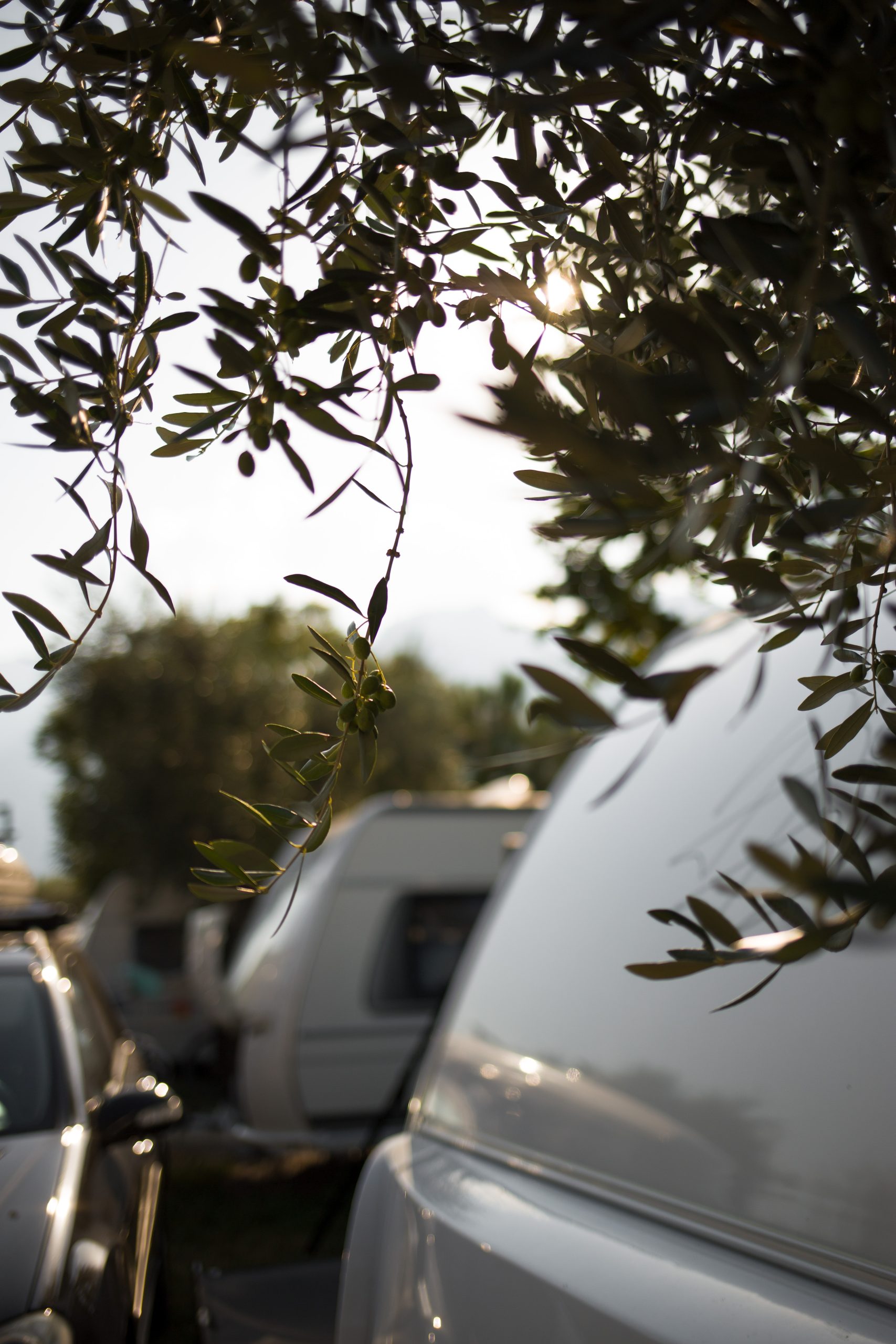 Camping