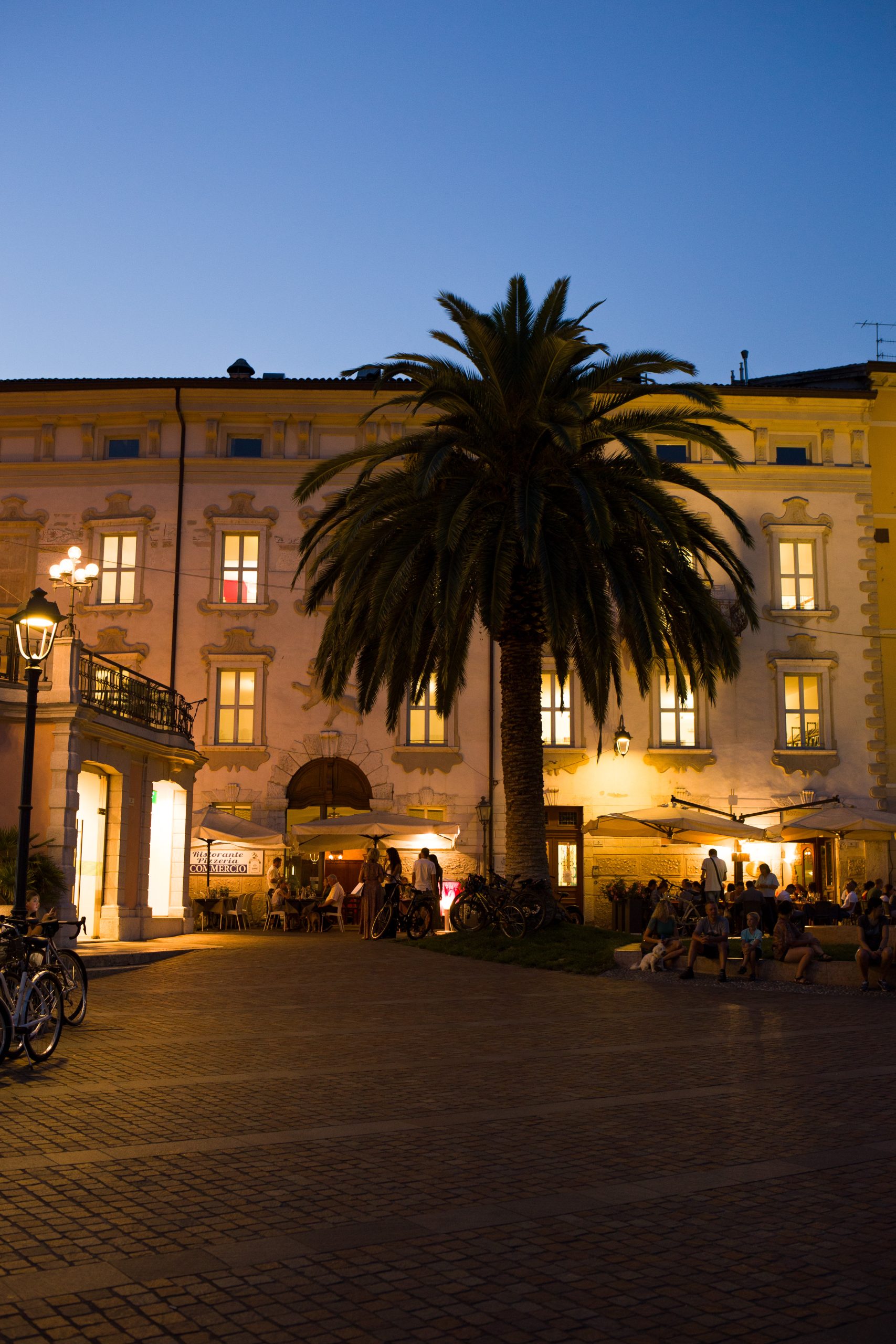 Riva del Garda Palm