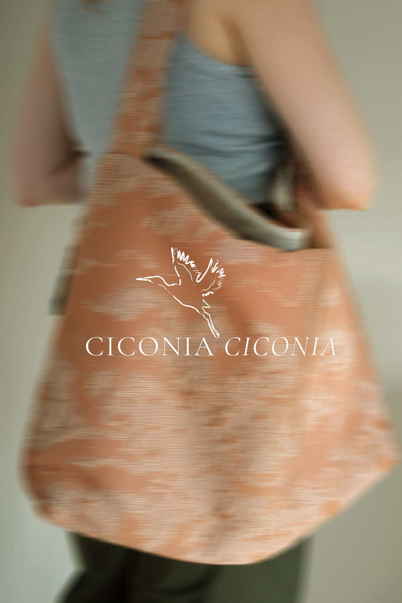 Ciconia Ciconia © Carlijn Stortelder